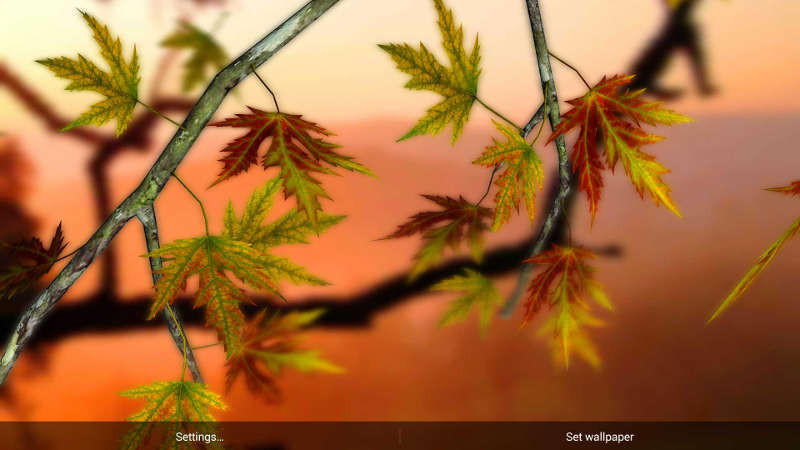 1413276556_autumn-leaves-hd-in-gyro-3d-parallax.jpg