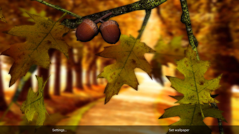 1413276569_autumn-leaves-hd-in-gyro-3d-parallax-1.jpg