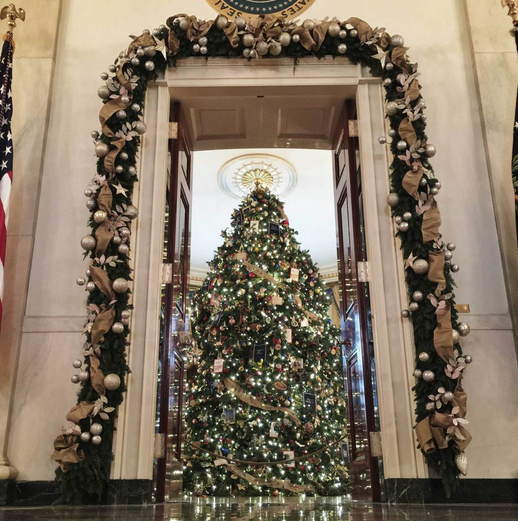 1417854919_pro-photographer-uses-rear-camera-on-the-apple-iphone-6-plus-to-catch-holiday-event-at-the-white-house-4.jpg
